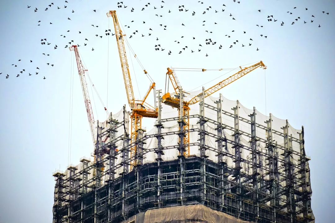 Several cranes operate atop a high-rise building under construction, showcasing the dynamic growth in real estate, while a flock of birds soars in the sky above.