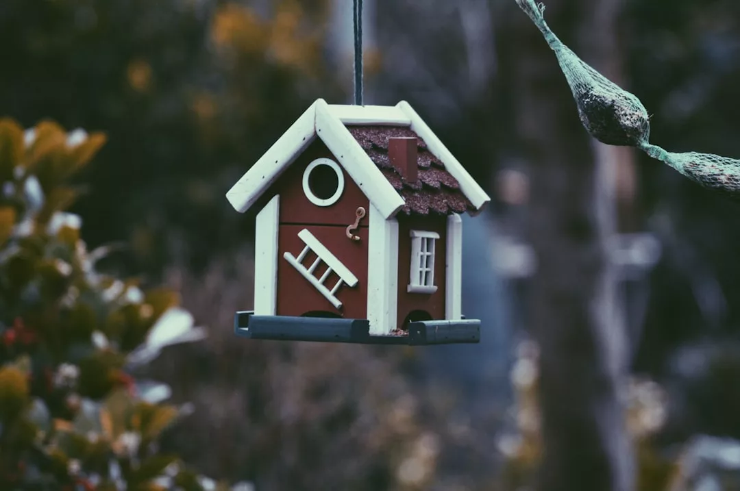 A small, decorative birdhouse with a white and brown design hangs from a branch outdoors, adding charming curb appeal reminiscent of thoughtful real estate touches, surrounded by blurred greenery.