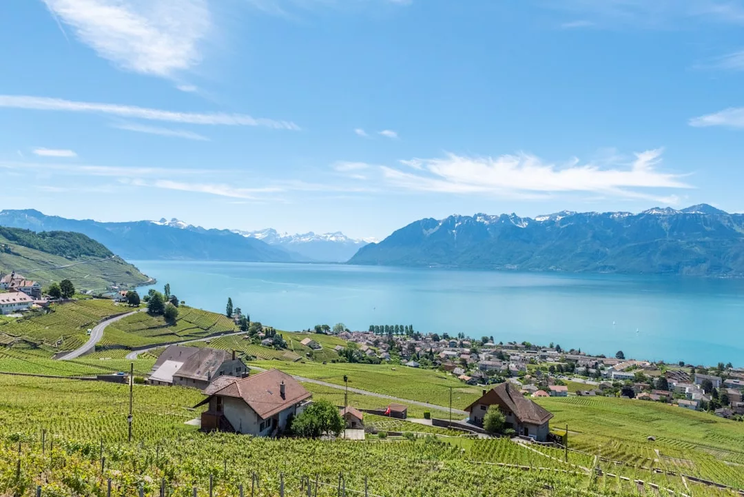 Vineyard-covered hills overlook a lake with a small village below, offering stunning real estate opportunities, with mountains in the background and a clear blue sky.