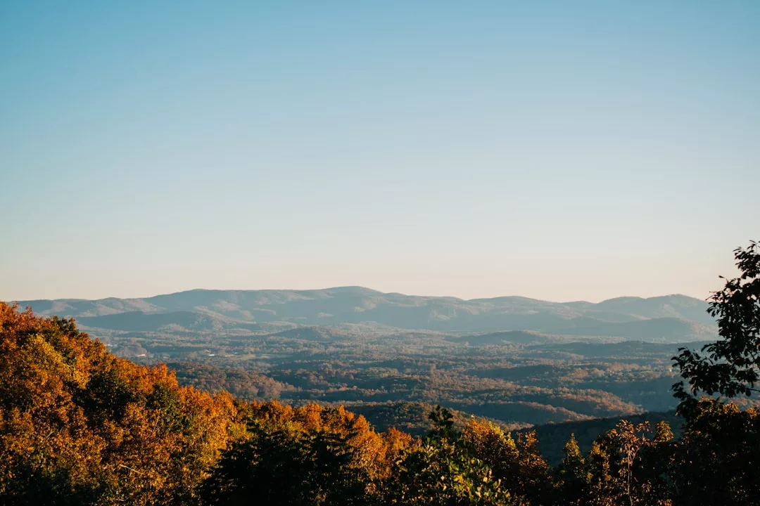 Distant mountain range under a clear blue sky, with sunlit trees in autumn colors in the foreground, echoing the charm of Switzerland’s scenic landscapes.