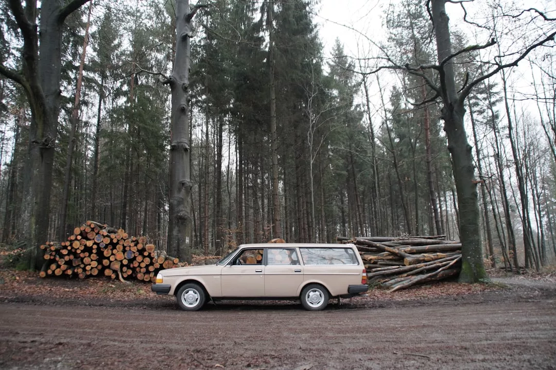 A beige station wagon is parked on a dirt road in front of stacked logs, surrounded by tall trees—a tranquil forest scene perfect for real estate photography.