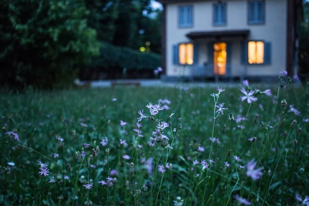 A field of wildflowers in the foreground with a lit real estate property and open windows in the blurred background at dusk.