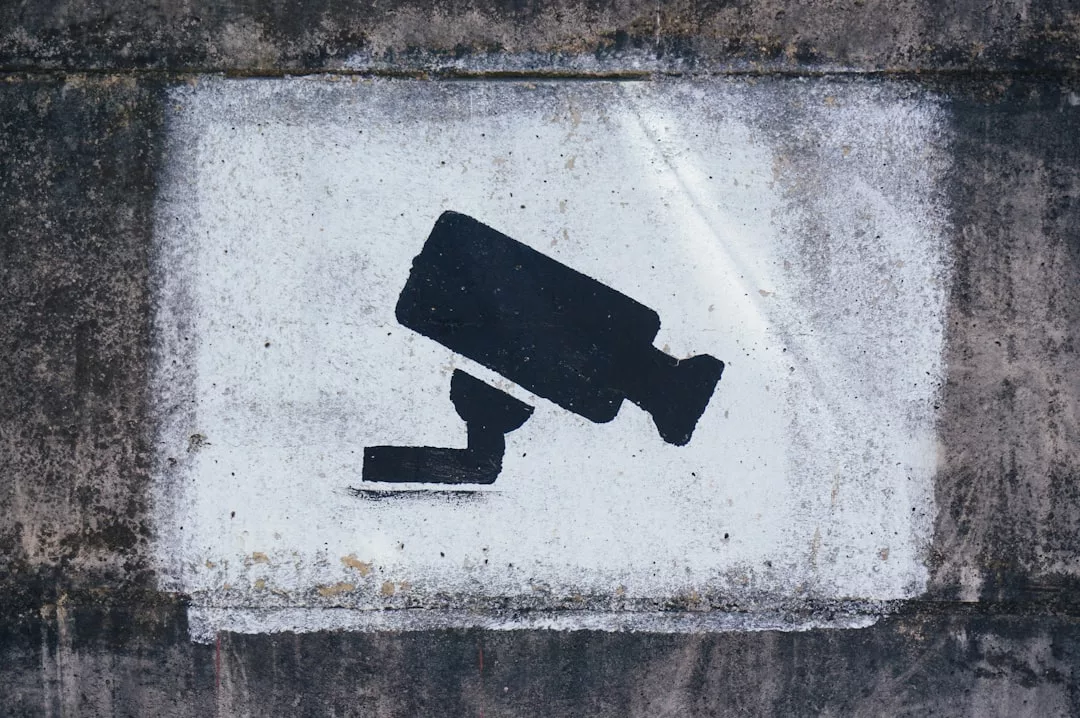 A black silhouette of a security camera is painted on a white rectangular background on a rough concrete wall, evoking themes of Real Estate security.